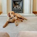 2 Bed In Oc-93608 Nyaraló *