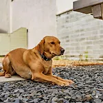 Nyaraló 2 Bed In Oc-93608