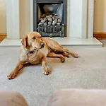 2 Bed In Oc-93608 Nyaraló